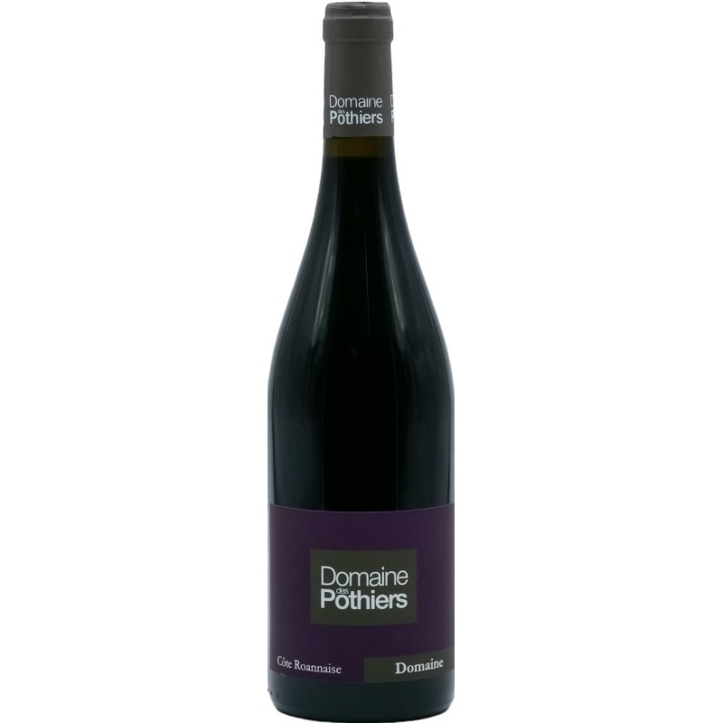 Vin rouge "DOMAINE" DOMAINE DES POTHIERS 2019
