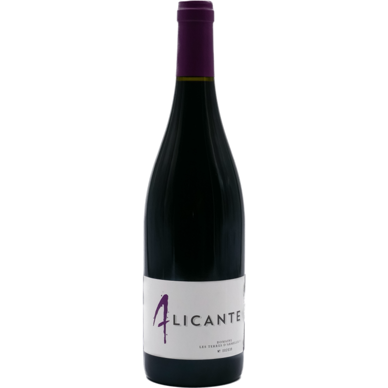 Vin rouge DOMAINE LES TERRES D'ARMELLE ALICANTE 2021
