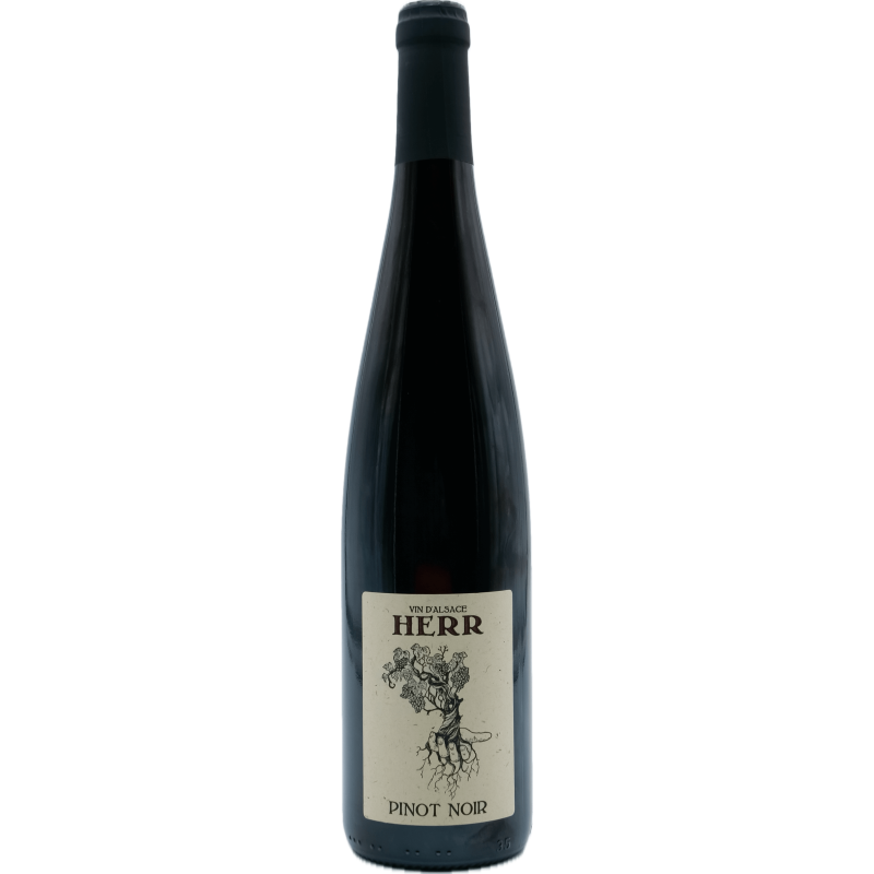Pinot Noir 2022 - Domaine Herr
