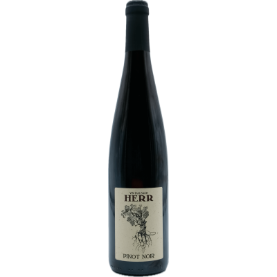 Pinot Noir 2022 - Domaine Herr