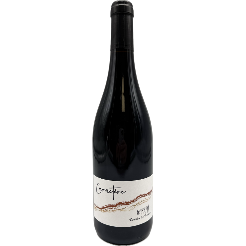 GAILLAC CARACTERE DOMAINE DES TERRISSES